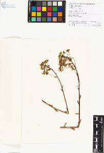 SW_BNB_s3070-01199_IMG-0000000001