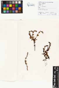 SW_BNB_s3070-01200_IMG-0000000001