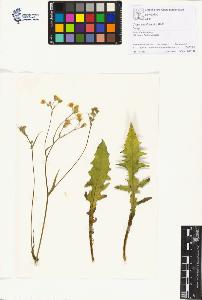 SW_BNB_s3070-01204_IMG-0000000001