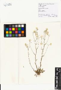 SW_BNB_s3070-01205_IMG-0000000001