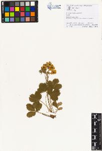 SW_BNB_s3070-01206_IMG-0000000001