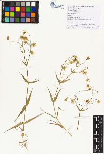 SW_BNB_s3070-01207_IMG-0000000001