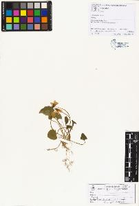 SW_BNB_s3070-01208_IMG-0000000001