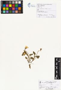 SW_BNB_s3070-01209_IMG-0000000001