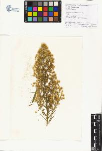 SW_BNB_s3070-01216_IMG-0000000001