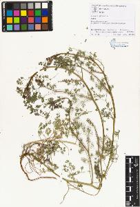 SW_BNB_s3070-01218_IMG-0000000001