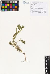 SW_BNB_s3070-01219_IMG-0000000001