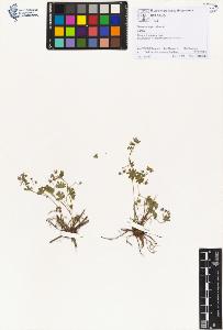 SW_BNB_s3070-01221_IMG-0000000001