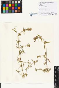 SW_BNB_s3070-01222_IMG-0000000001