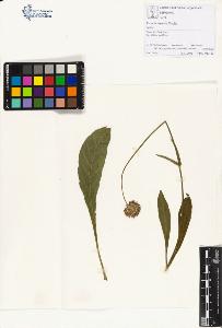 SW_BNB_s3070-01223_IMG-0000000001