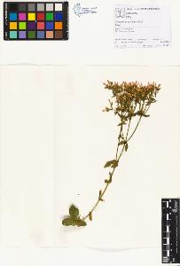 SW_BNB_s3070-01224_IMG-0000000001