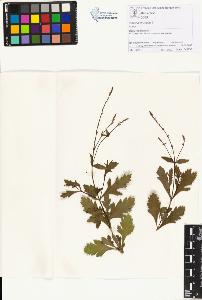 SW_BNB_s3070-01225_IMG-0000000001
