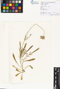 SW_BNB_s3070-01228_IMG-0000000001