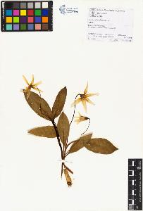 SW_BNB_s3070-01229_IMG-0000000001