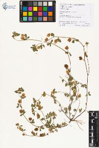 SW_BNB_s3070-01233_IMG-0000000001