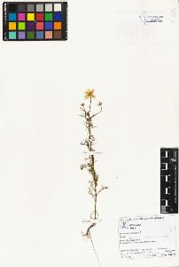 SW_BNB_s3070-01234_IMG-0000000001
