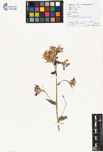SW_BNB_s3070-01235_IMG-0000000001
