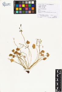 SW_BNB_s3070-01236_IMG-0000000001