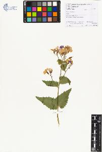 SW_BNB_s3070-01237_IMG-0000000001