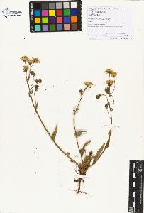 SW_BNB_s3070-01239_IMG-0000000001