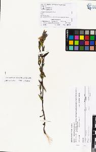 SW_BNB_s3070-01240_IMG-0000000001