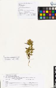 SW_BNB_s3070-01243_IMG-0000000001