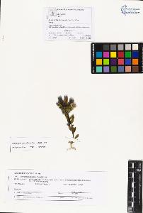 SW_BNB_s3070-01244_IMG-0000000001
