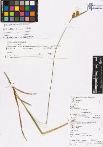 SW_BNB_s3070-01246_IMG-0000000001