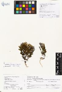 SW_BNB_s3070-01247_IMG-0000000001