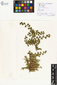 SW_BNB_s3070-01248_IMG-0000000001
