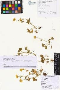 SW_BNB_s3070-01250_IMG-0000000001