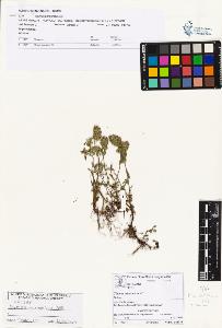 SW_BNB_s3070-01251_IMG-0000000001