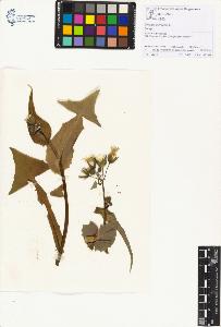 SW_BNB_s3070-01256_IMG-0000000001