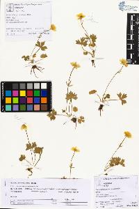 SW_BNB_s3070-01257_IMG-0000000001