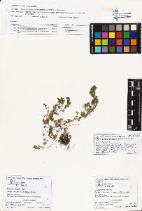 SW_BNB_s3070-01258_IMG-0000000001