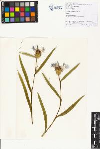 SW_BNB_s3070-01260_IMG-0000000001