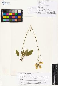SW_BNB_s3070-01261_IMG-0000000001