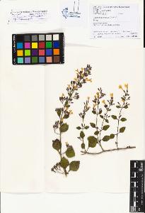 SW_BNB_s3070-01262_IMG-0000000001