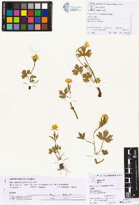 SW_BNB_s3070-01264_IMG-0000000001