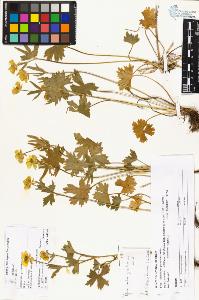 SW_BNB_s3070-01265_IMG-0000000001