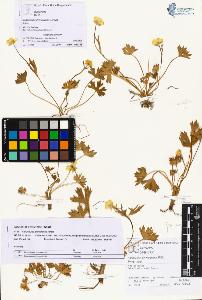 SW_BNB_s3070-01266_IMG-0000000001