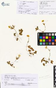 SW_BNB_s3070-01267_IMG-0000000001