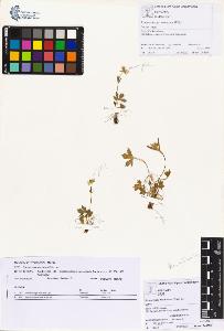 SW_BNB_s3070-01268_IMG-0000000001