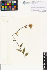 SW_BNB_s3070-01270_IMG-0000000001