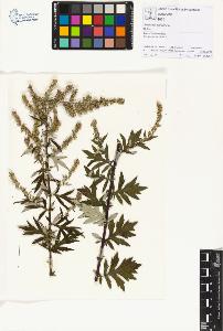 SW_BNB_s3070-01275_IMG-0000000001