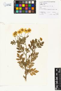 SW_BNB_s3070-01276_IMG-0000000001