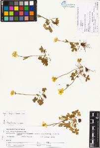 SW_BNB_s3070-01279_IMG-0000000001