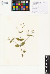 SW_BNB_s3070-01284_IMG-0000000001