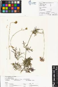 SW_BNB_s3070-01285_IMG-0000000001