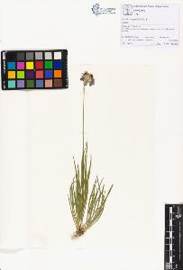SW_BNB_s3070-01286_IMG-0000000001
